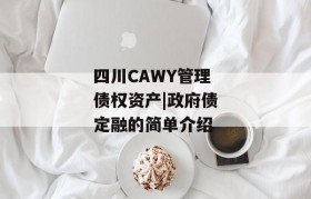 四川CAWY管理债权资产|政府债定融的简单介绍