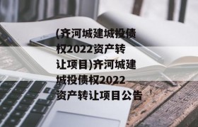 (齐河城建城投债权2022资产转让项目)齐河城建城投债权2022资产转让项目公告