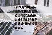 (云南楚雄城乡投财产权信托受益权转让项目)云南楚雄城乡投财产权信托受益权转让项目有哪些