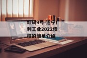 红码9号-遂宁广利工业2022债权的简单介绍