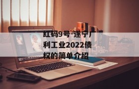 红码9号-遂宁广利工业2022债权的简单介绍