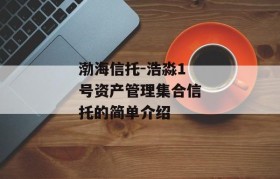 渤海信托-浩淼1号资产管理集合信托的简单介绍