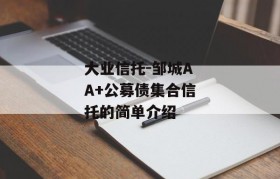 大业信托-邹城AA+公募债集合信托的简单介绍