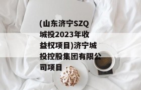 (山东济宁SZQ城投2023年收益权项目)济宁城投控股集团有限公司项目