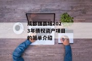 成都强县域2023年债权资产项目的简单介绍