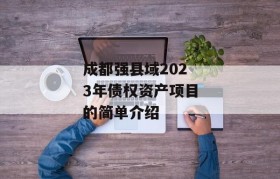 成都强县域2023年债权资产项目的简单介绍