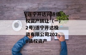 (遂宁开达兴遂债权资产转让（一）2号)遂宁开达投资有限公司2020债权资产