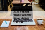 (湖北大冶市投资2023年融资计划)湖北大冶市投资2023年融资计划公告