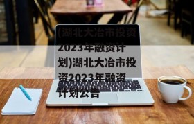 (湖北大冶市投资2023年融资计划)湖北大冶市投资2023年融资计划公告