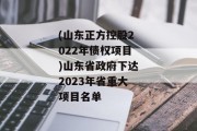 (山东正方控股2022年债权项目)山东省政府下达2023年省重大项目名单