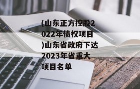 (山东正方控股2022年债权项目)山东省政府下达2023年省重大项目名单