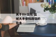 关于BH信托-盐城大丰非标政信的信息