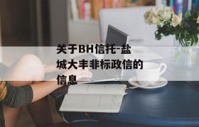 关于BH信托-盐城大丰非标政信的信息