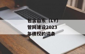 包含山东（LY）管网建设2023年债权的词条