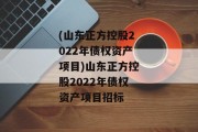 (山东正方控股2022年债权资产项目)山东正方控股2022年债权资产项目招标