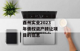 关于重庆·酉阳县酉州实业2023年债权资产转让项目的信息