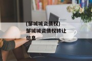 (邹城城资债权)邹城城资债权转让信息