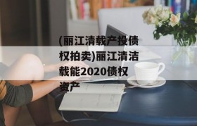 (丽江清载产投债权拍卖)丽江清洁载能2020债权资产