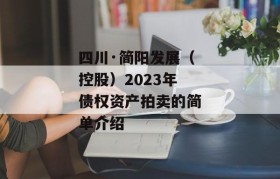 四川·简阳发展（控股）2023年债权资产拍卖的简单介绍