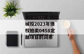 包含政府债-阳信城投2023年债权拍卖0458定融项目的词条