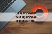 (江苏阜宁高鑫债权项目)阜宁高新区大项目2020