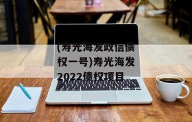 (寿光海发政信债权一号)寿光海发2022债权项目