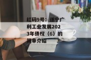 红码9号：遂宁广利工业发展2023年债权（6）的简单介绍