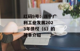 红码9号：遂宁广利工业发展2023年债权（6）的简单介绍