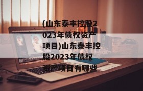 (山东泰丰控股2023年债权资产项目)山东泰丰控股2023年债权资产项目有哪些