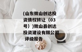 (山东微山创达投资债权转让（03号）)微山县创达投资建设有限公司 评级报告