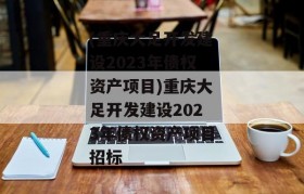 (重庆大足开发建设2023年债权资产项目)重庆大足开发建设2023年债权资产项目招标