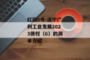 红码9号-遂宁广利工业发展2023债权（6）的简单介绍