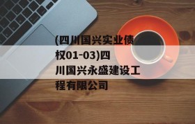 (四川国兴实业债权01-03)四川国兴永盛建设工程有限公司