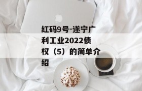 红码9号-遂宁广利工业2022债权（5）的简单介绍