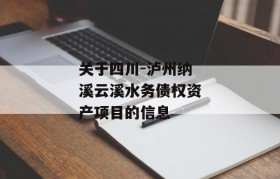 关于四川-泸州纳溪云溪水务债权资产项目的信息