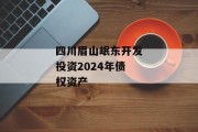 四川眉山岷东开发投资2024年债权资产