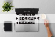 2023年山东泰丰控股债权资产项目的简单介绍