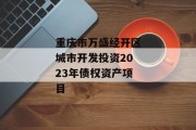 重庆市万盛经开区城市开发投资2023年债权资产项目