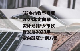 (新乡市牧野发展2023年定向融资计划)新乡市牧野发展2023年定向融资计划方案