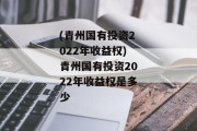 (青州国有投资2022年收益权)青州国有投资2022年收益权是多少