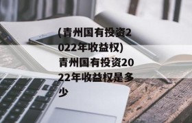 (青州国有投资2022年收益权)青州国有投资2022年收益权是多少