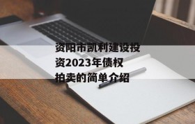 资阳市凯利建设投资2023年债权拍卖的简单介绍