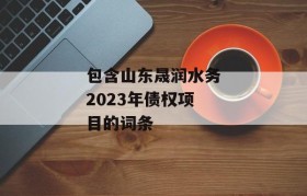 包含山东晟润水务2023年债权项目的词条