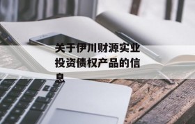 关于伊川财源实业投资债权产品的信息