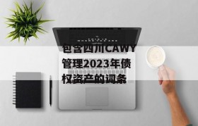 包含四川CAWY管理2023年债权资产的词条