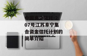 中国央企信托-207号江苏阜宁集合资金信托计划的简单介绍