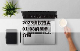 江油工投建设发展2023债权拍卖01-08的简单介绍