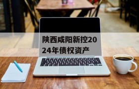 陕西咸阳新控2024年债权资产