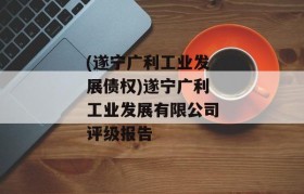 (遂宁广利工业发展债权)遂宁广利工业发展有限公司评级报告