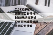 (2022潍坊滨海新城公有债权计划)潍坊滨海新城公有资产经营管理有限公司债券